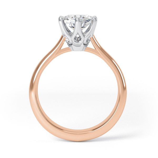 Eng - AUBREY | Wide Band Six Claw Engagement Ring - Image 5