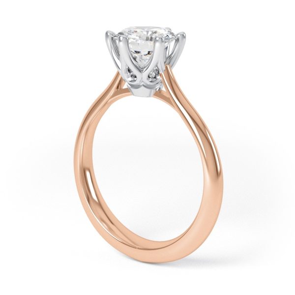 Eng - AUBREY | Wide Band Six Claw Engagement Ring - Image 10