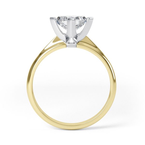 Eng - WINTER | Petite NSEW Box Claw Set Princess Cut Engagement Ring - Image 5