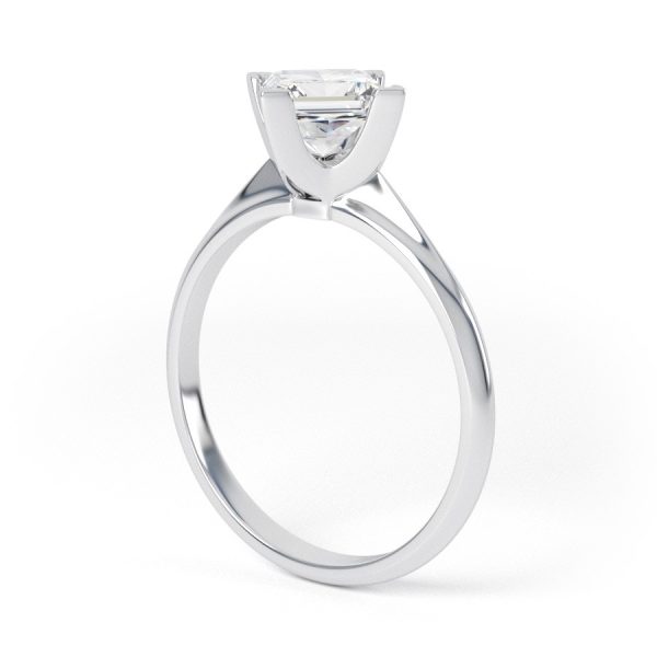 Eng - WINTER | Petite NSEW Box Claw Set Princess Cut Engagement Ring - Image 3