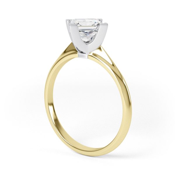 Eng - WINTER | Petite NSEW Box Claw Set Princess Cut Engagement Ring - Image 6