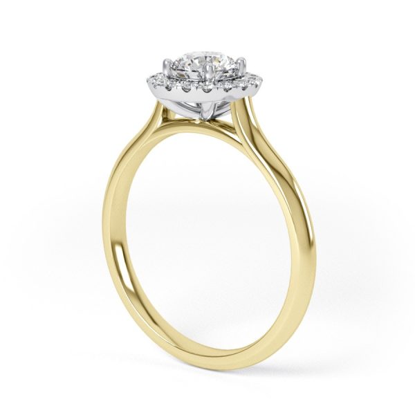 Eng - AVA | Straight Band Elegant Halo Set Engagement Ring - Image 5